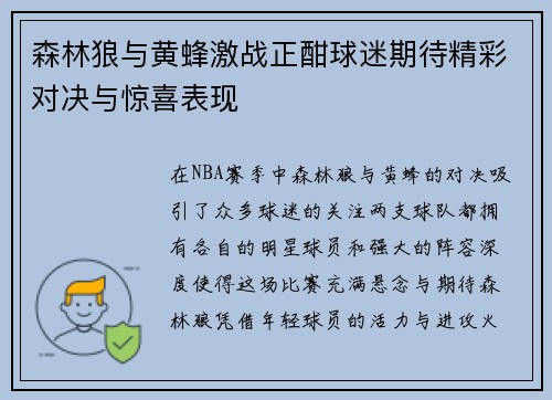 森林狼与黄蜂激战正酣球迷期待精彩对决与惊喜表现