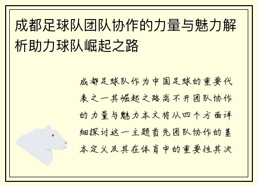 成都足球队团队协作的力量与魅力解析助力球队崛起之路