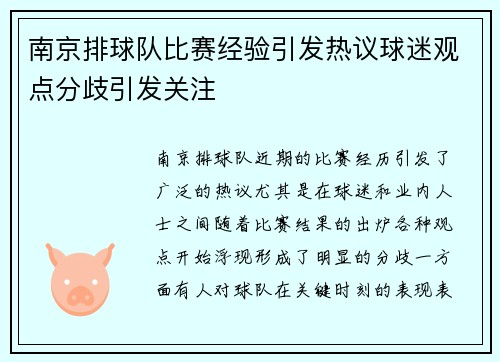 南京排球队比赛经验引发热议球迷观点分歧引发关注