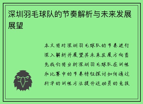 深圳羽毛球队的节奏解析与未来发展展望